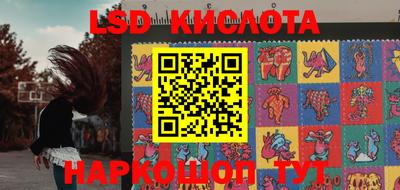 мяу мяу мука Кандалакша
