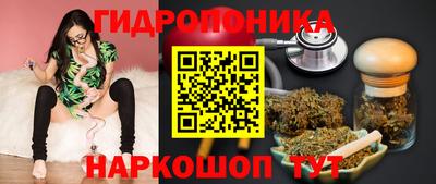 мяу мяу мука Кандалакша
