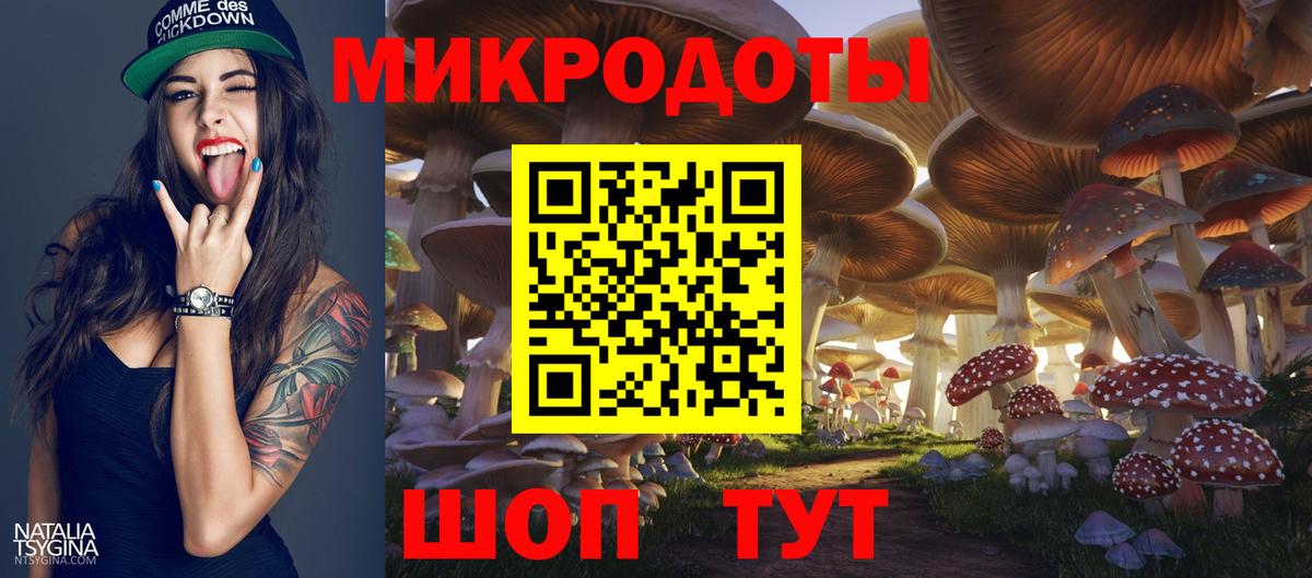 Псилоцибиновые грибы Cubensis  Вход с VPN  Галлюциногенные грибы мухоморы  Лыткарино 