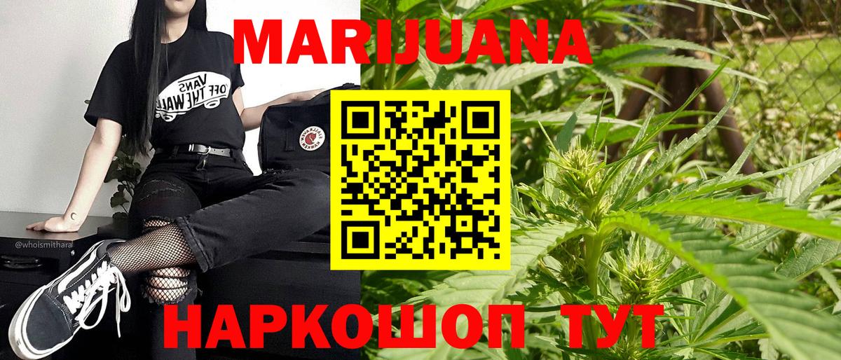 Каннабис сатива Лыткарино